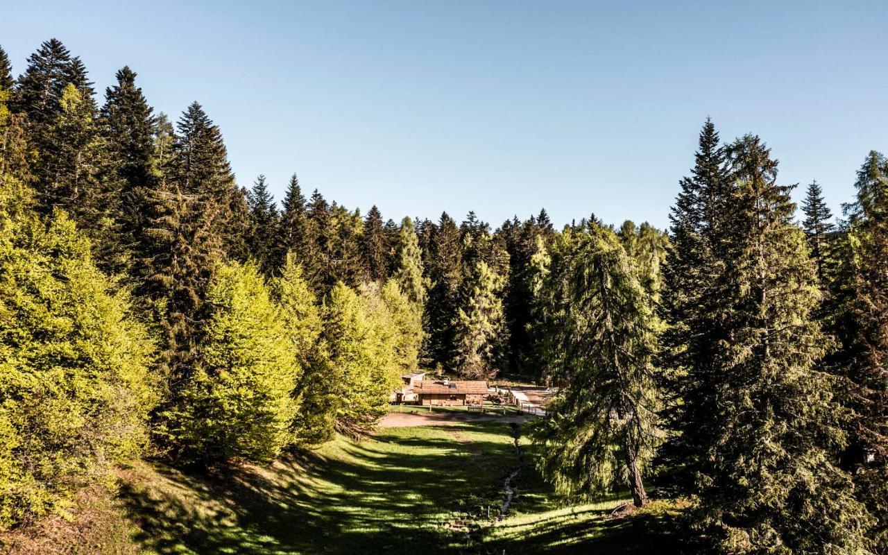 La Mendola Alm Chalet Villa Екстериор снимка